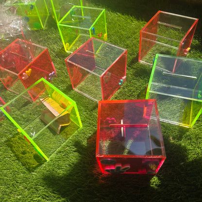 Neon Money Box